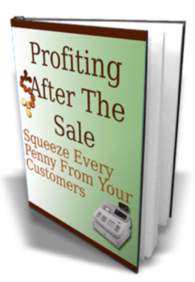 Product picture Profiting After The Sale - MRR